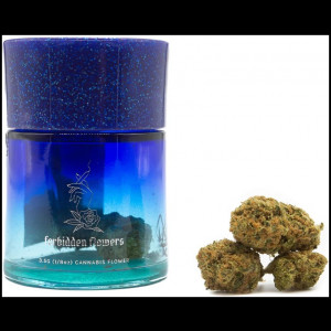 Midnight Thorneberry (I) by Forbidden Flowers