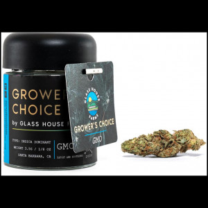 GMO (I) by Growers Choice