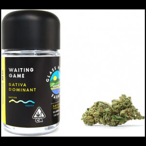 Waiting Game (S) By Glass House Farms