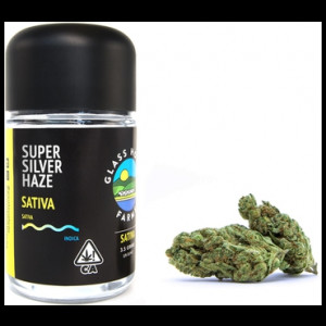 Super Silver Haze (S) By Glass House Farms