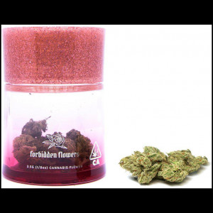 Sundae Driver (H) by Forbidden Flowers