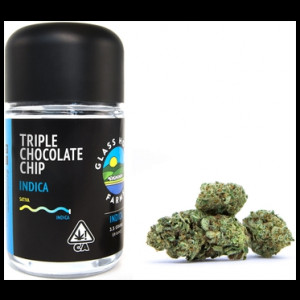 Triple Chocolate Chip (I) By Glass House Farms