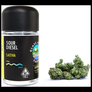 Sour Diesel (S) By Glass House Farms