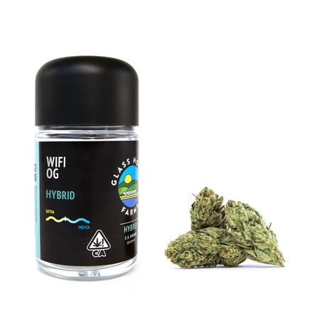 Wifi OG (H) By Glass House Farms
