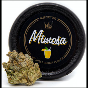 Mimosa Canned Flower (S) By West Coast Cure